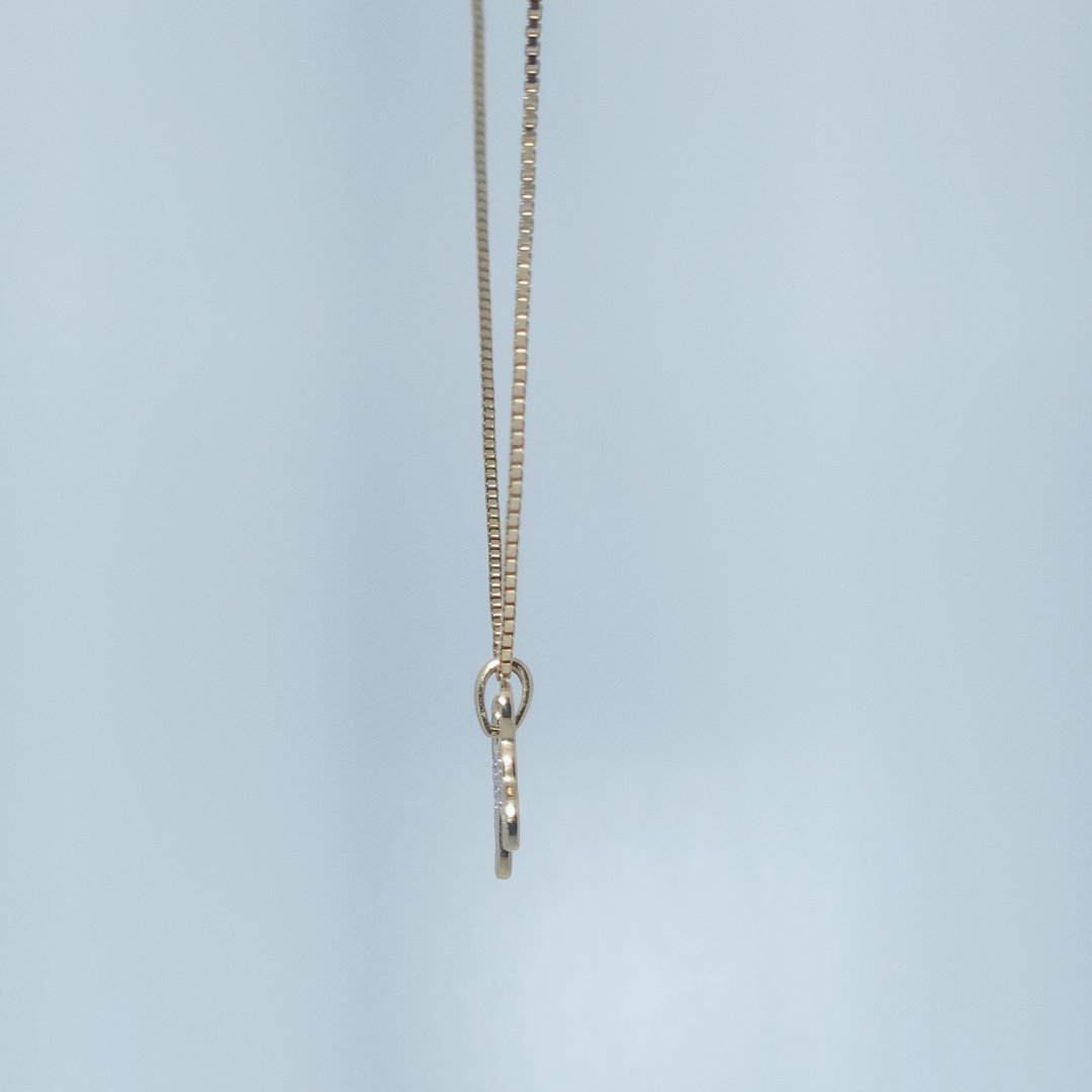 Dog Fashion Gift Pendant, Natural Diamonds(1/20 CTW), 10K Yellow Gold