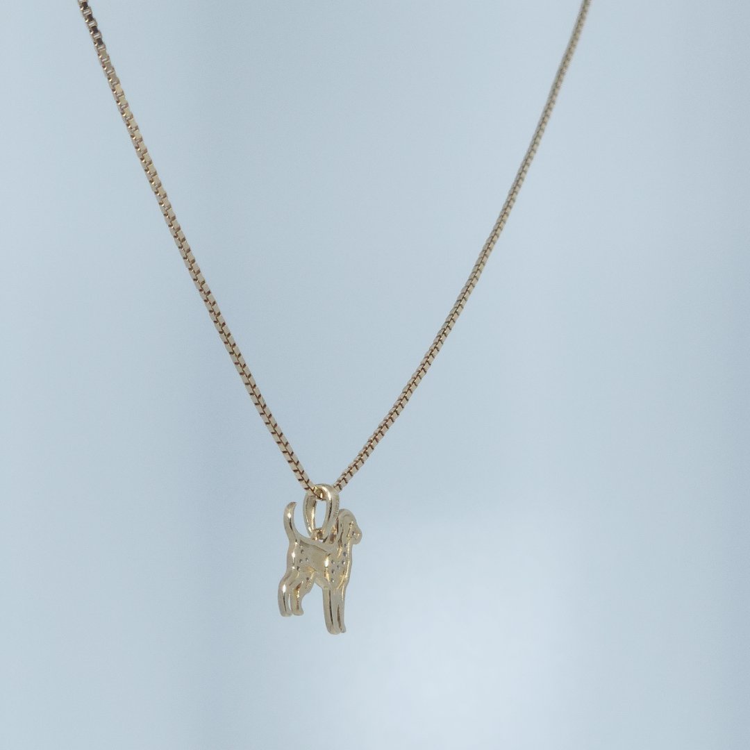 Dog Fashion Gift Pendant, Natural Diamonds(1/20 CTW), 10K Yellow Gold