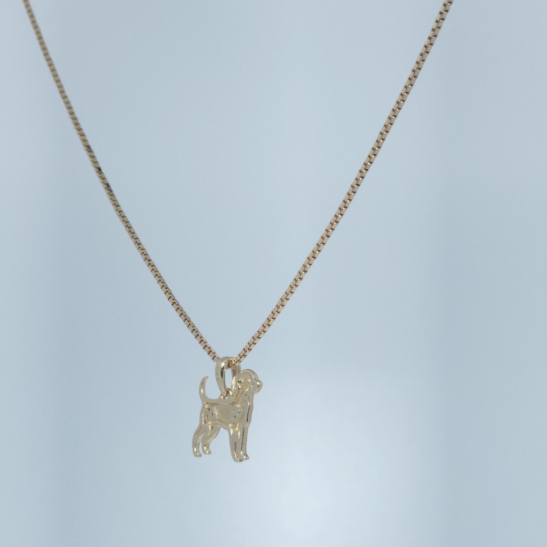 Dog Fashion Gift Pendant, Natural Diamonds(1/20 CTW), 10K Yellow Gold
